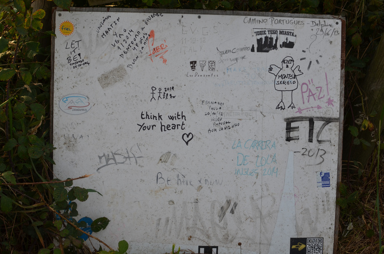 Proctor en Segovia experiential education walking the Camino de Santiago