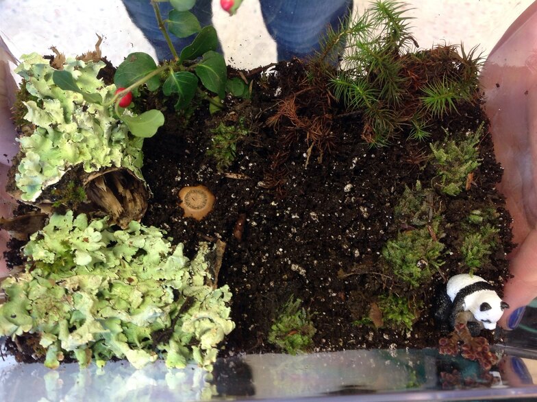 Proctor Academy Science