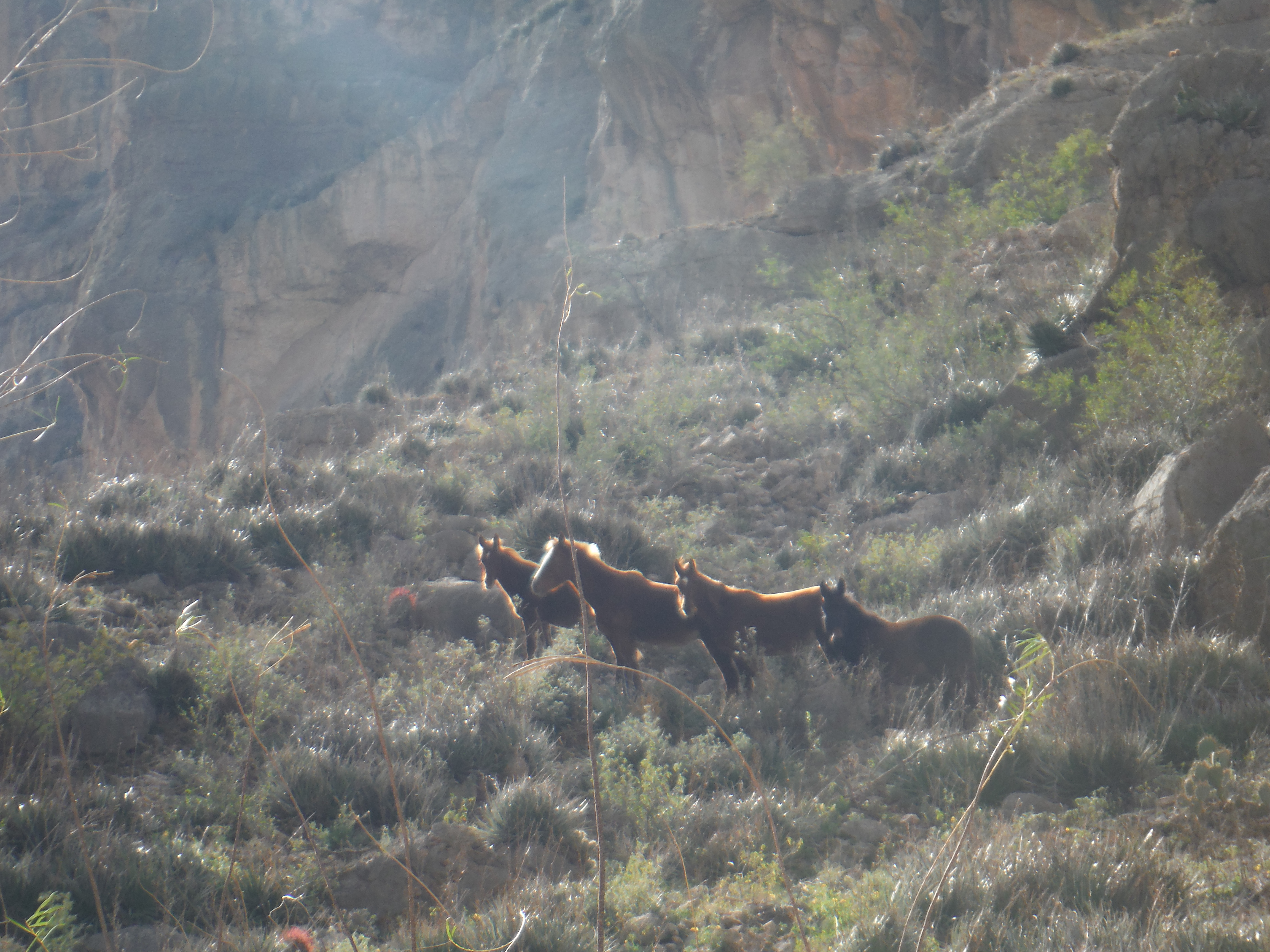 Proctor Academy Mountain Classroom Proctor Academy Mountain Classroom