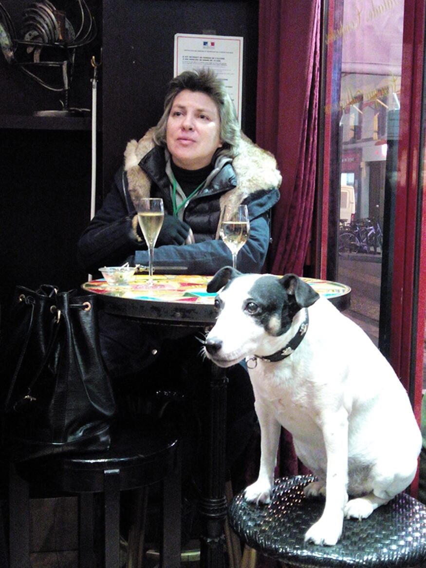 paris dogs european art classroom proctor academy new hampshire aix en provence france