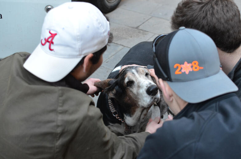 Proctor en Segovia travels to Barcelona