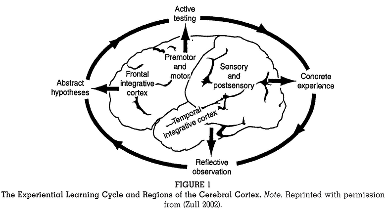 zull_regions_cerebral_cortex