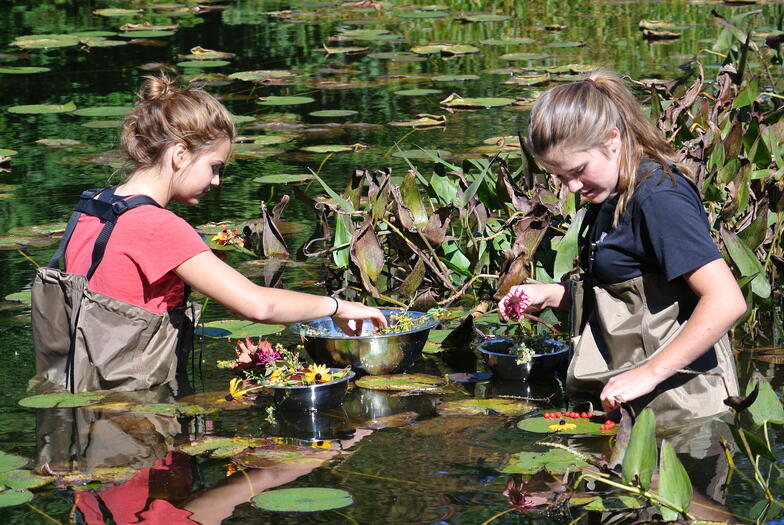 Proctor Academy Arts in Landscape