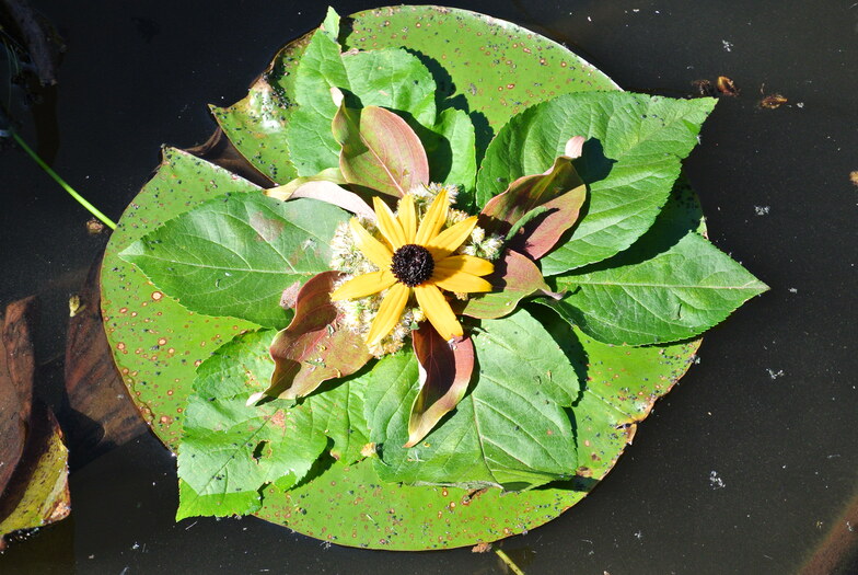 Proctor Academy Art in Landscape