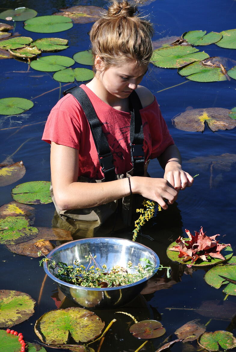 Proctor Academy Arts in Landscape