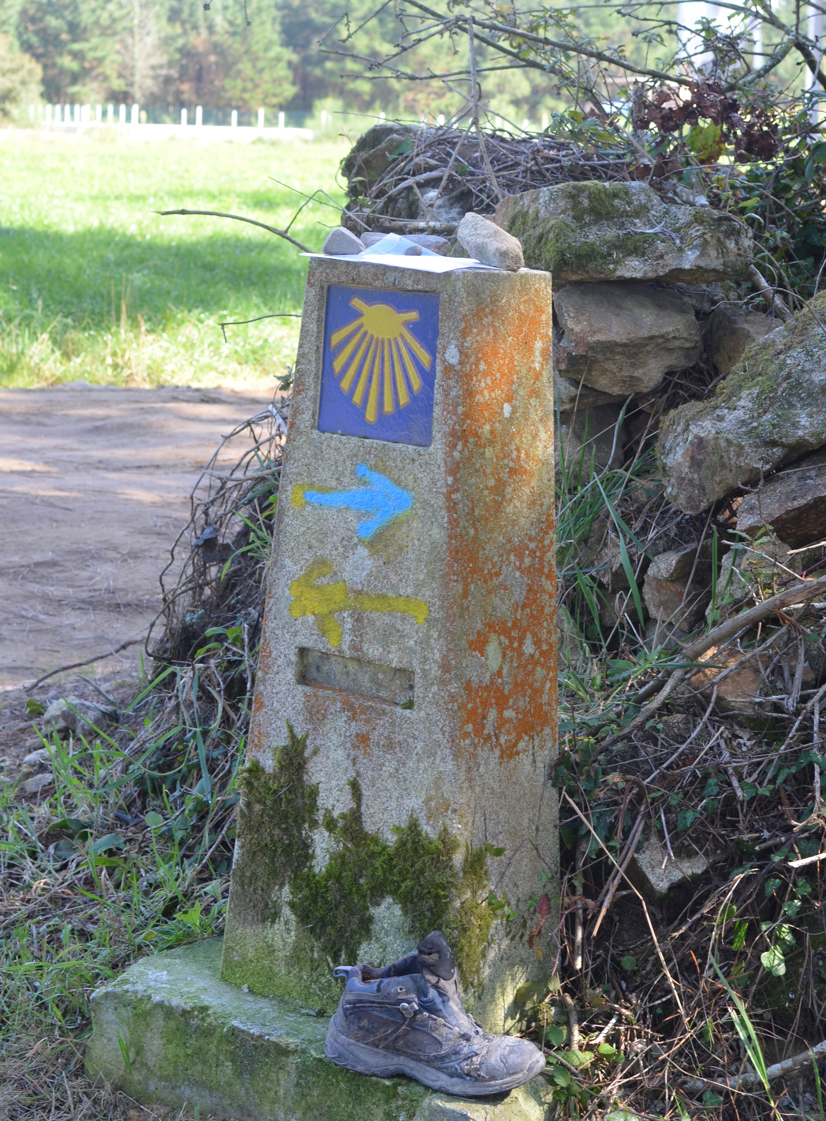 Proctor en Segovia experiential education walking the Camino de Santiago