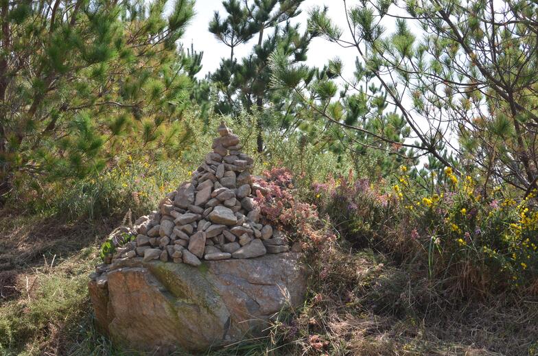 Proctor en Segovia experiential education walking the Camino de Santiago