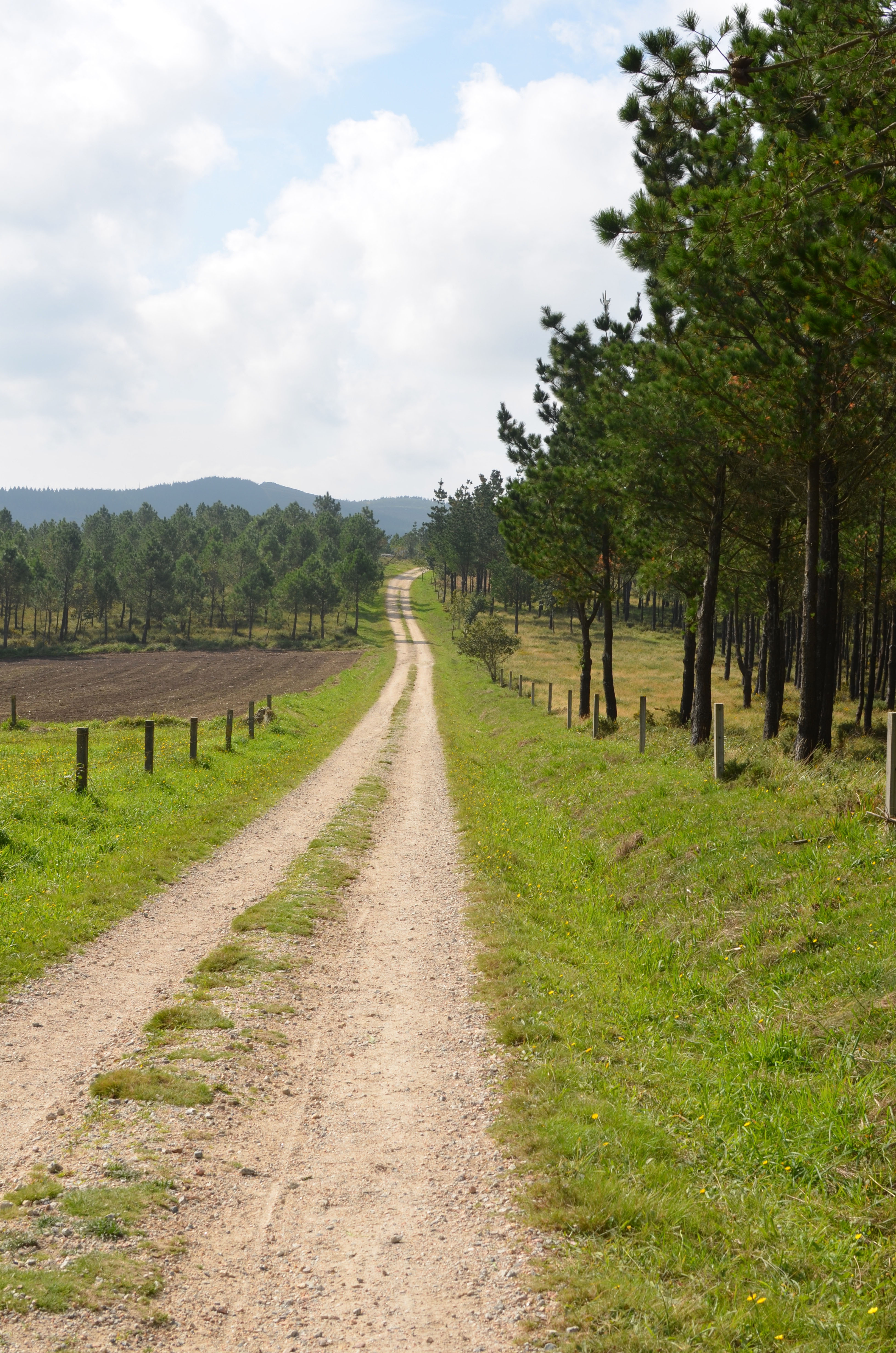 Proctor en Segovia experiential education walking the Camino de Santiago