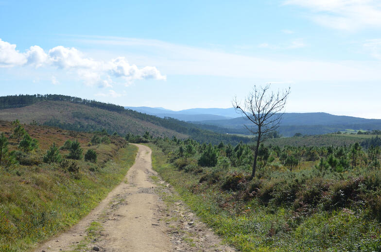 Proctor en Segovia experiential education walking the Camino de Santiago