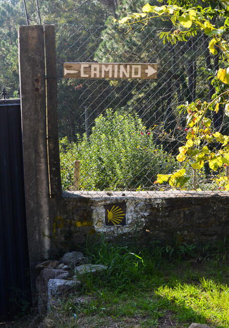 Proctor en Segovia experiential education walking the Camino de Santiago