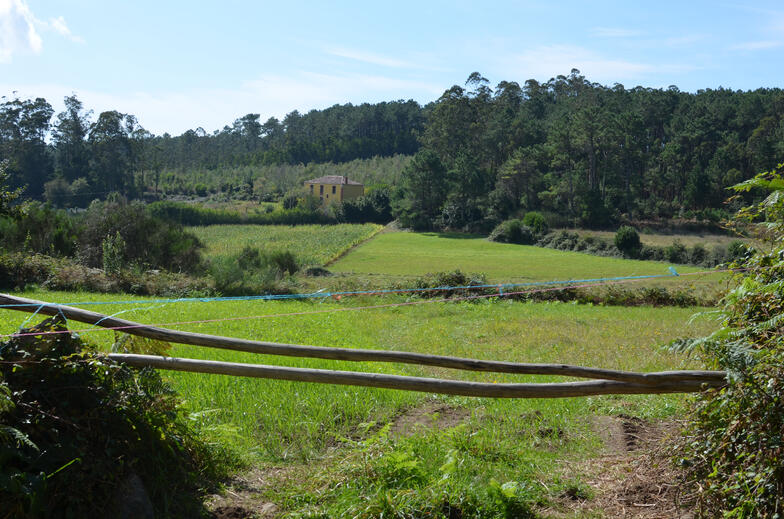 Proctor en Segovia experiential education walking the Camino de Santiago