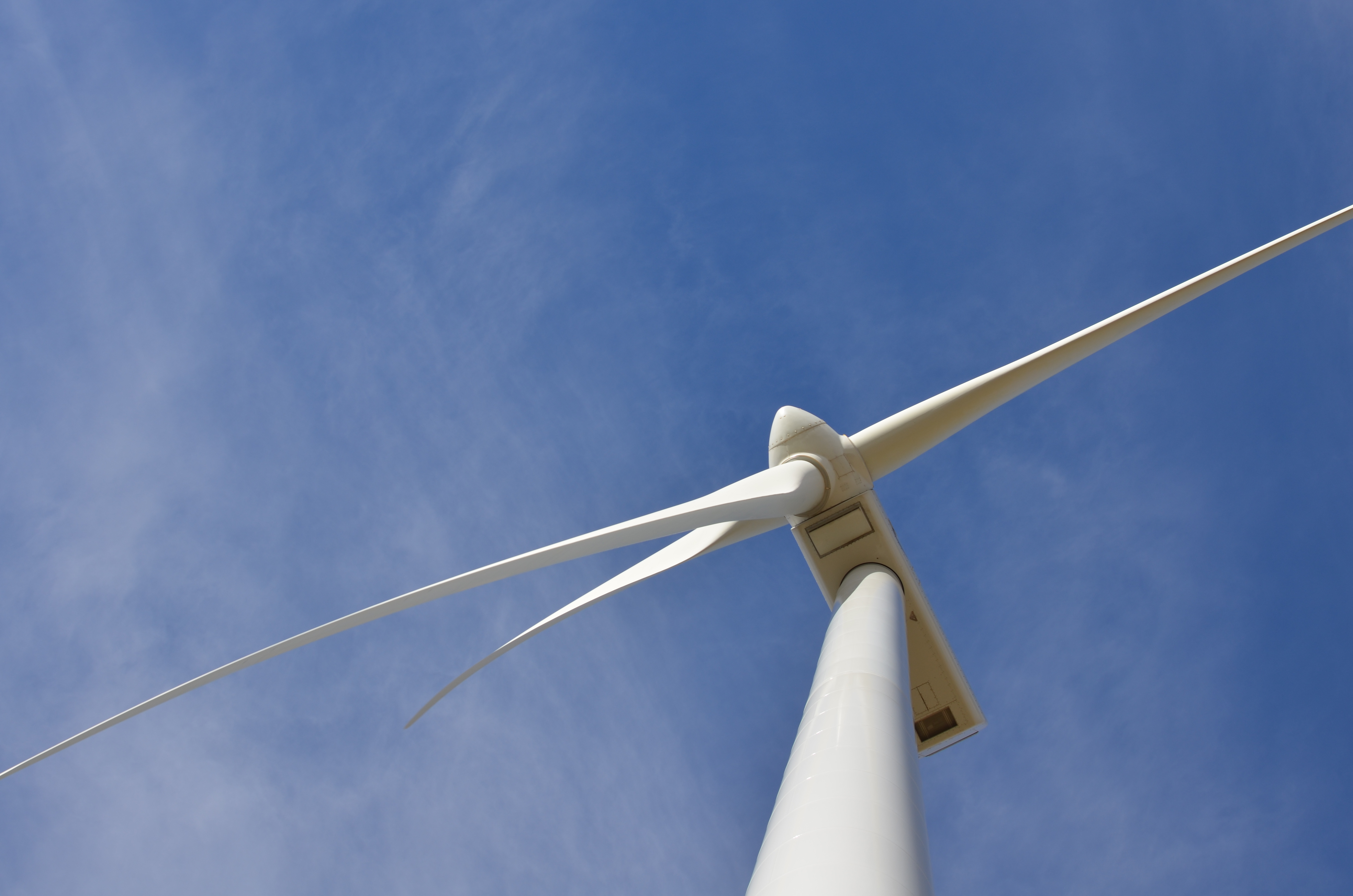 Proctor en Segovia visits wind farm experiential education Proctor en Segovia visits wind farm experiential education