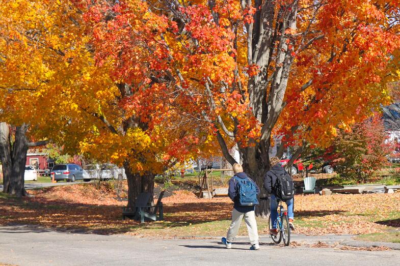 Proctor Academy