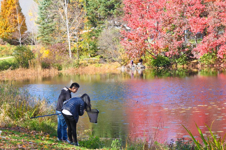 Proctor Academy International Students Proctor Academy International Students