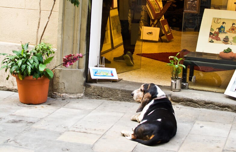 Experiential education exploring Barcelona’s Gothic Quarter