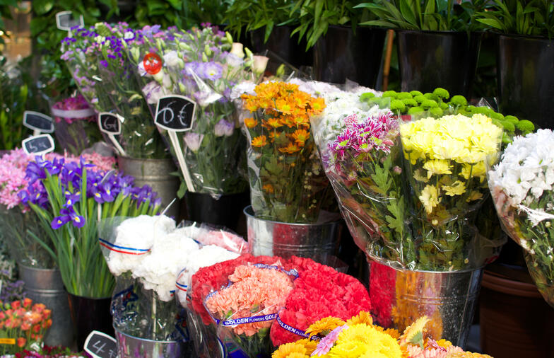 Experiential learning Barcelona's outdoor markets Experiential learning Barcelona's outdoor markets