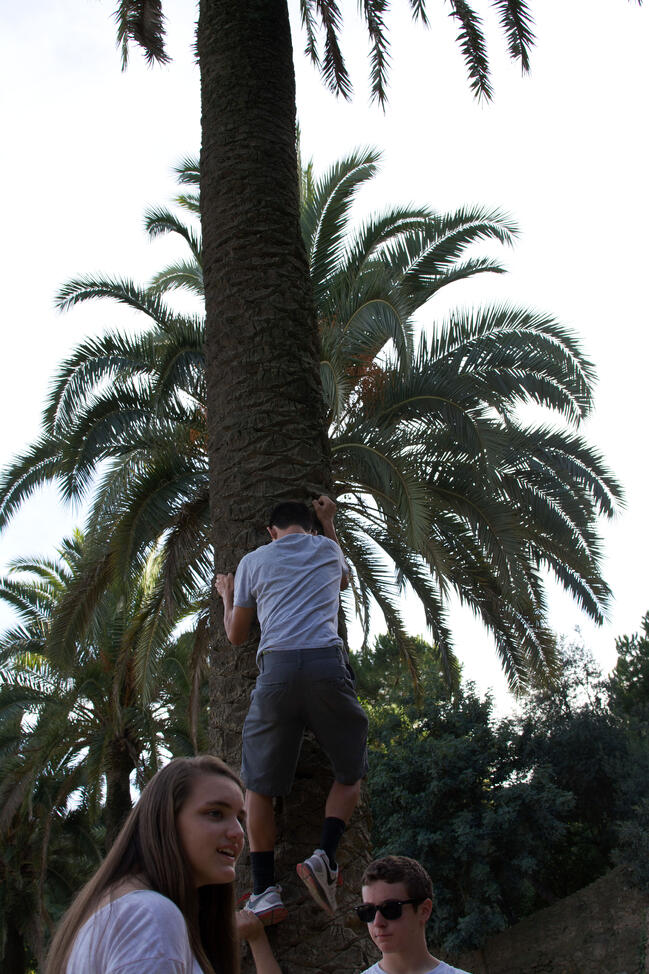 Experiential education exploring Barcelona’s Parque Güell