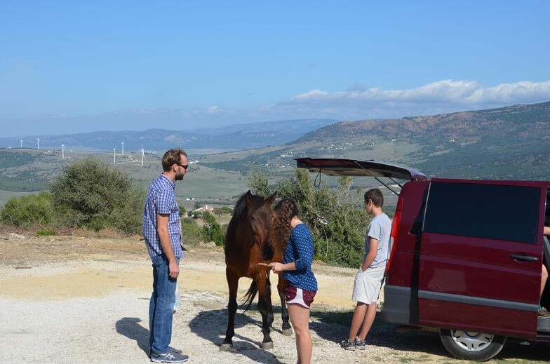 Students experience a vision of rural Andalucía