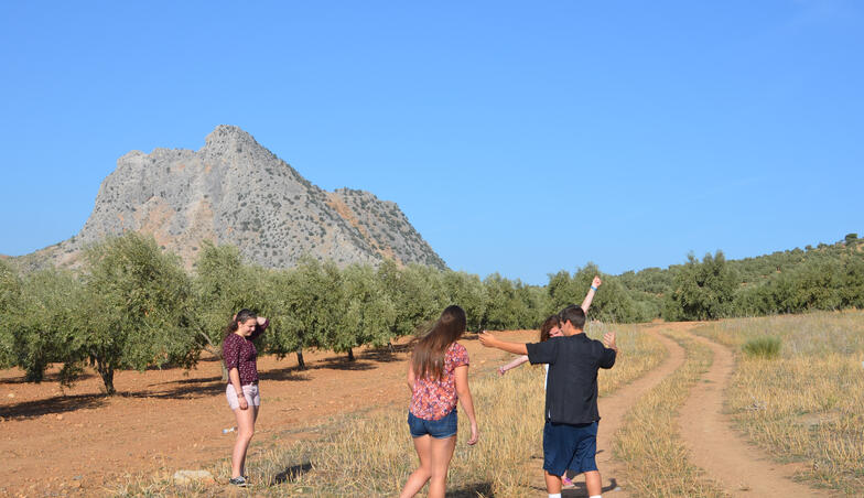 Experiential student presentation on the importance of the olive and olive oil in an olive grove!