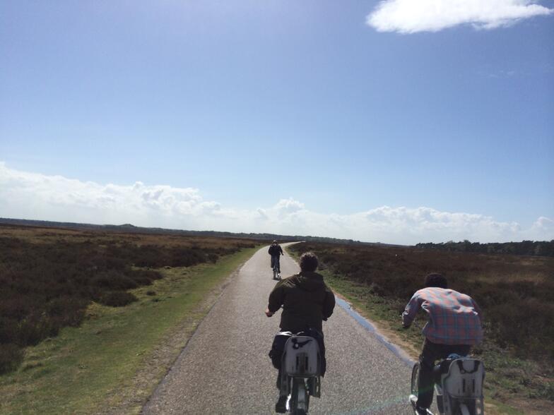 bicycles, Amsterdam, National Park, Holland