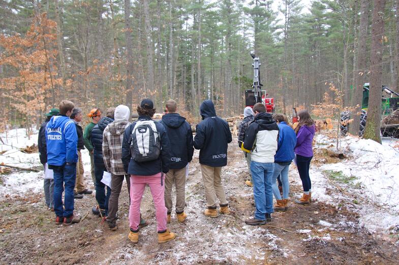 Proctor Academy Woodlands Land Management