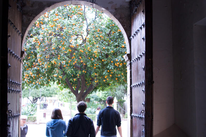 Proctor en Segovia visits the Cathedral of Málaga