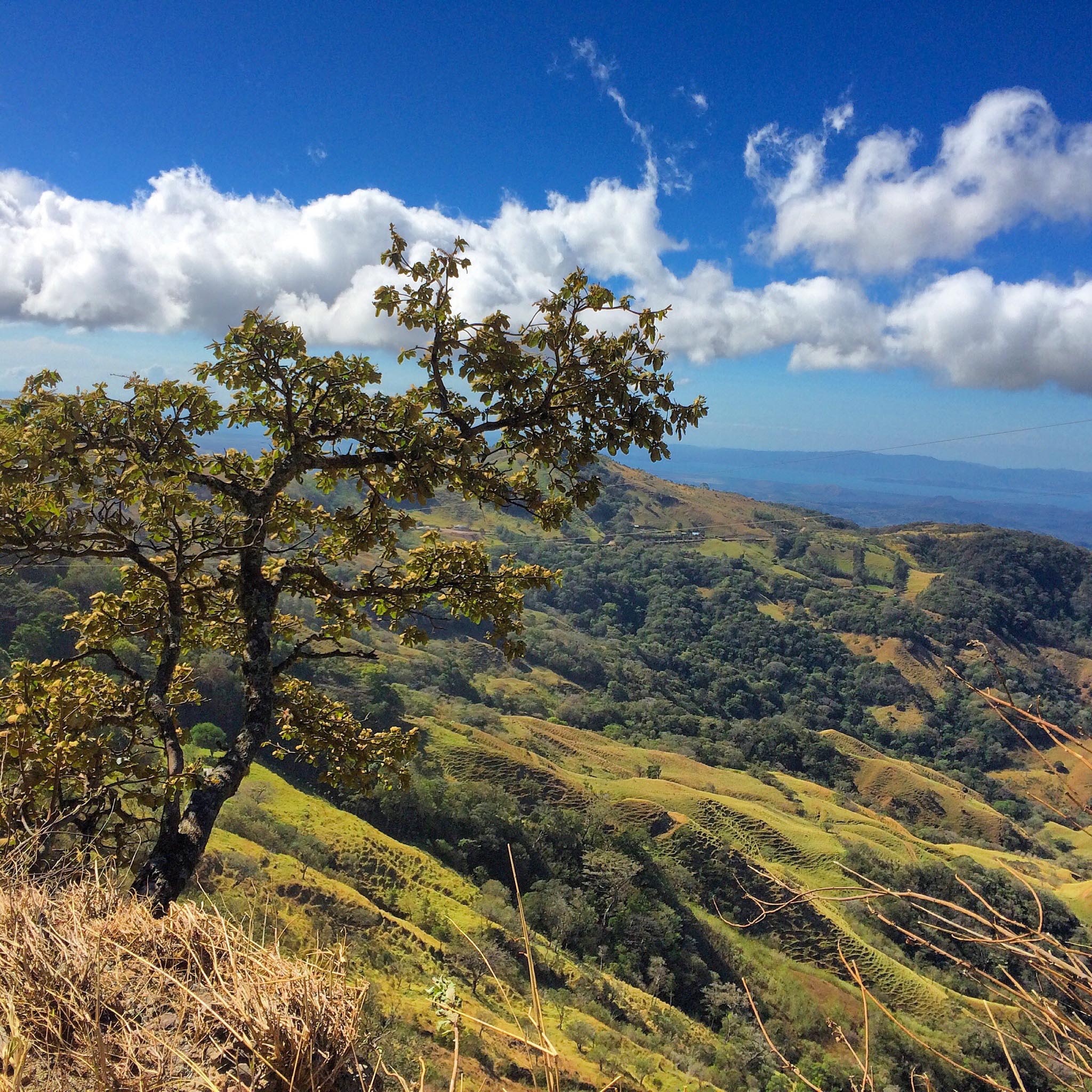 Proctor Academy Costa Rica