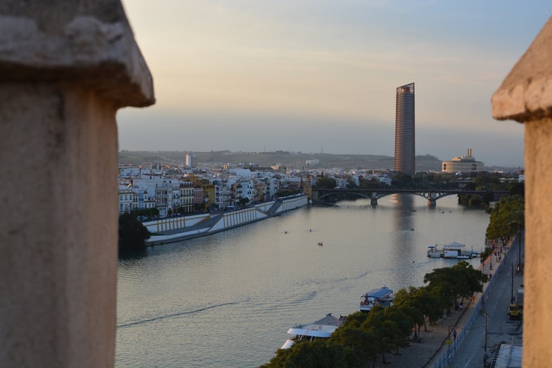 Proctor en Segovia visits Sevilla