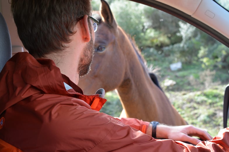 Proctor en Segovia visits the Costa de la Luz