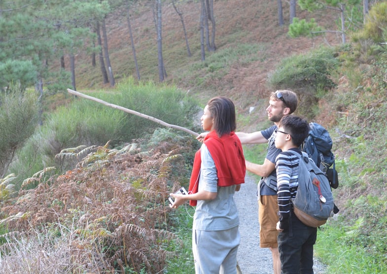 Proctor en Segovia hikes the Camino de Santiago