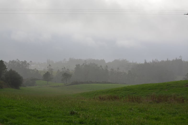 Proctor en Segovia hikes the Camino de Santiago