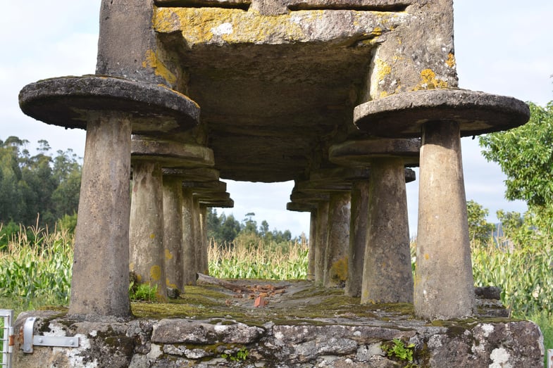 Proctor en Segovia hikes the Camino de Santiago