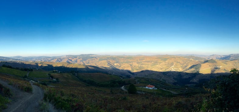 Proctor en Segovia visits Portugal’s Alto Douro