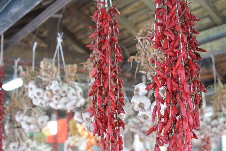 Proctor en Segovia visits outdoor market in Porto