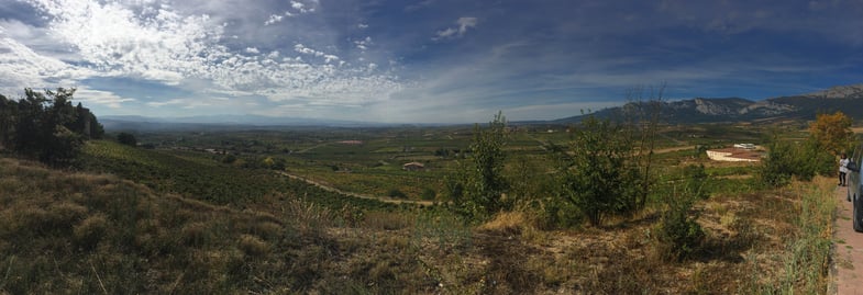 Proctor en Segovia travels to La Rioja wine producing region