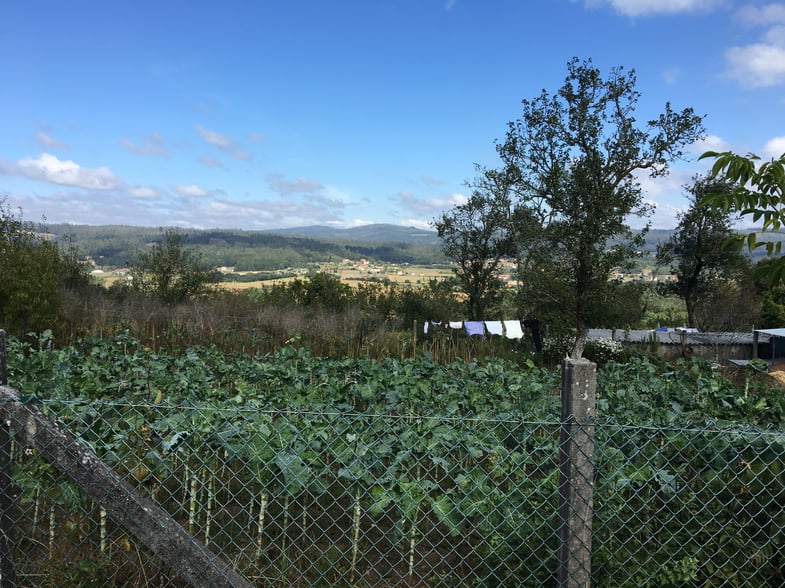 Proctor en Segovia hikes the Camino de Santiago!