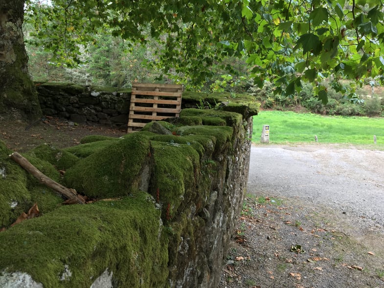 Proctor en Segovia hikes the Camino de Santiago!