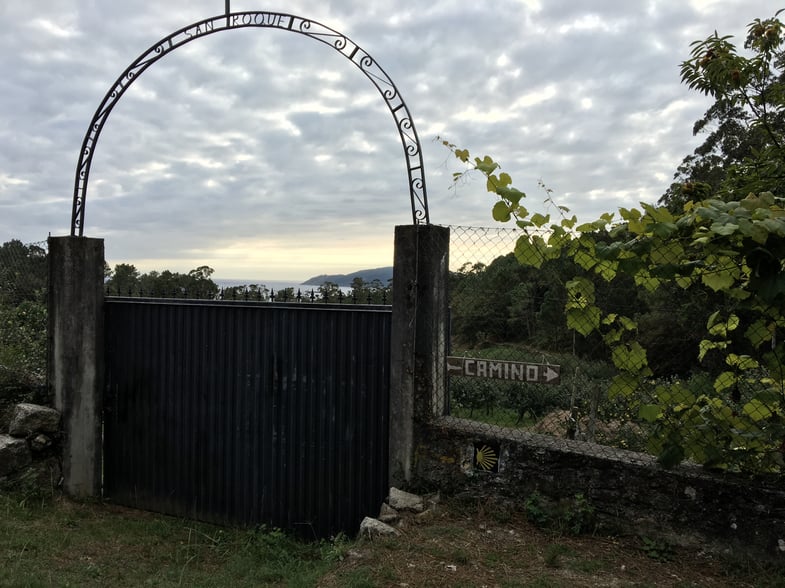 Proctor en Segovia hikes on the Camino de Santiago!