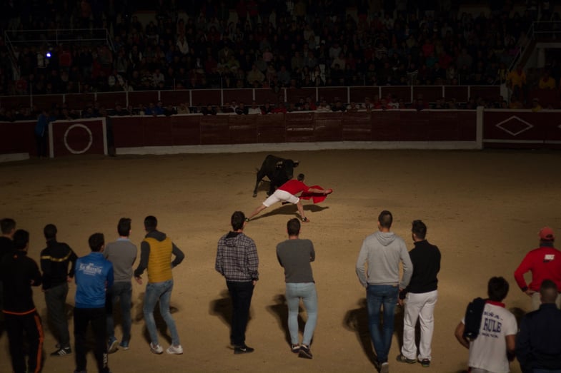 Proctor en Segovia watches a running of the bulls