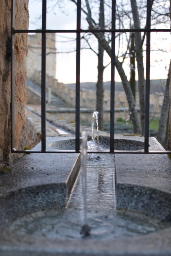 Proctor en Segovia at a garden in Segovia