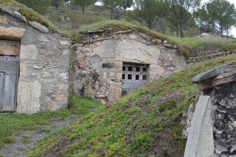 Proctor en Segovia visits the medieval town of Fuentiduña