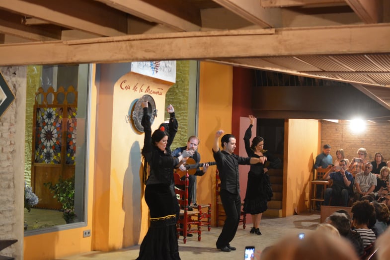 Proctor en Segovia watches a Flamenco performance in Sevilla