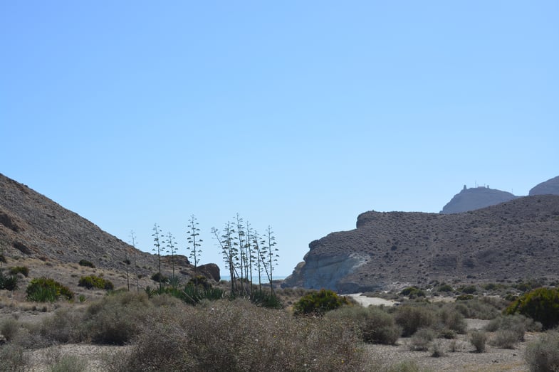 Proctor en Segovia visits Cabo de Gata, Almería