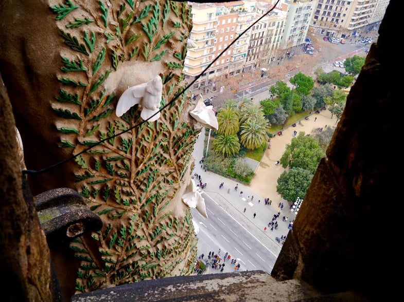 Proctor en Segovia visits Gaudí’s Sagrada Familia in Barcelona