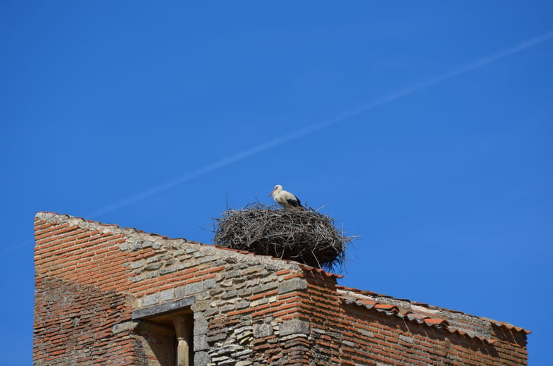 Proctor en Segovia photography afternoon activity