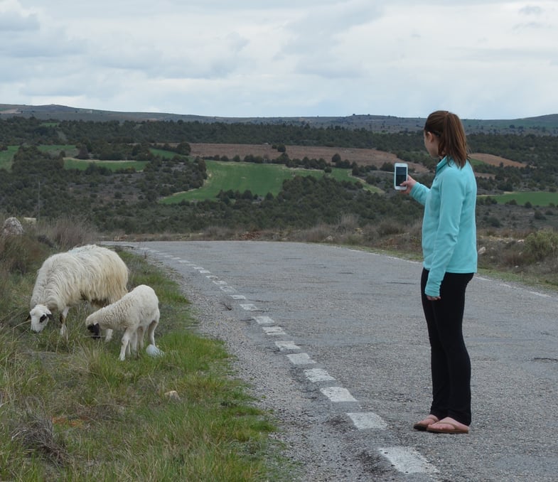 Proctor en Segovia excursion to northern Segovia province