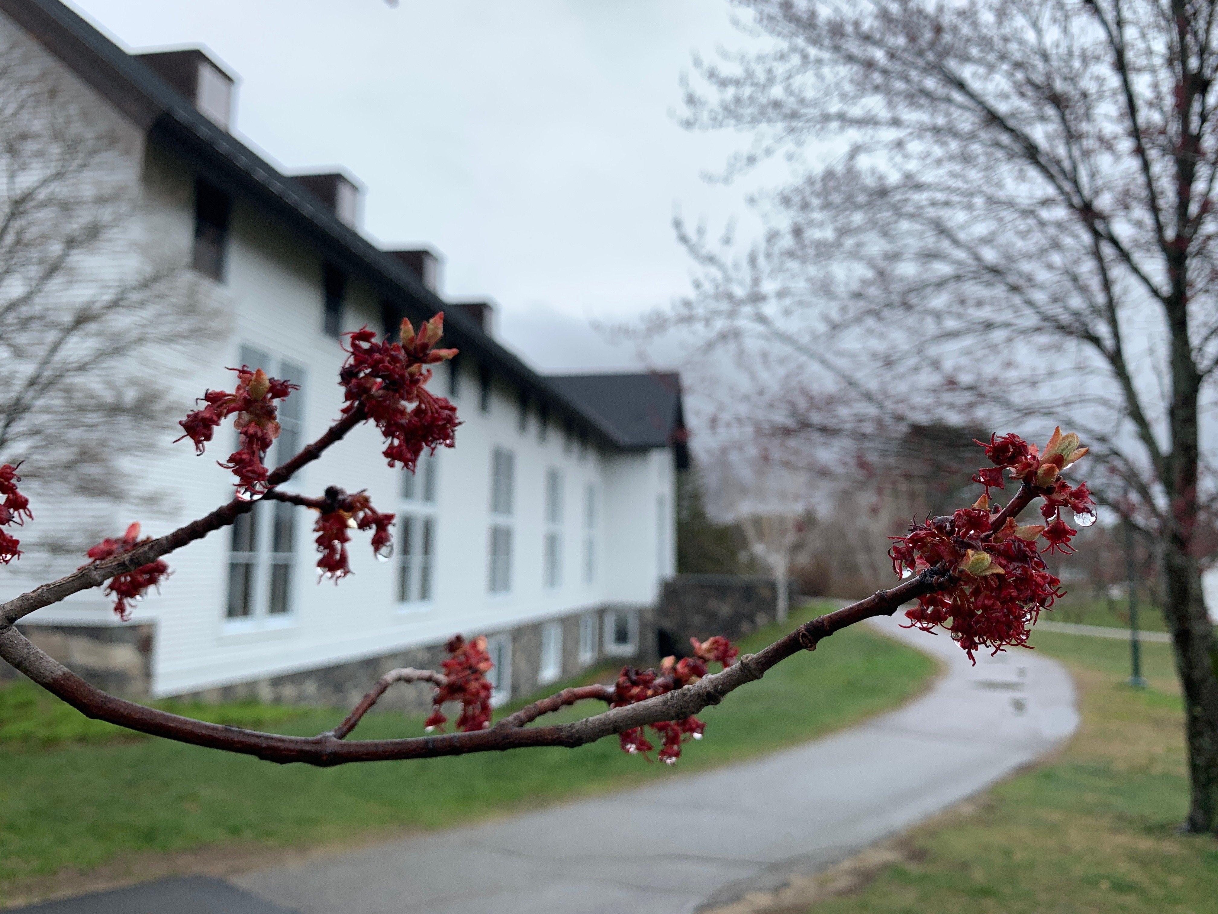 Proctor Academy Boarding Prep School New EnglandProctor Academy Boarding Prep School New England