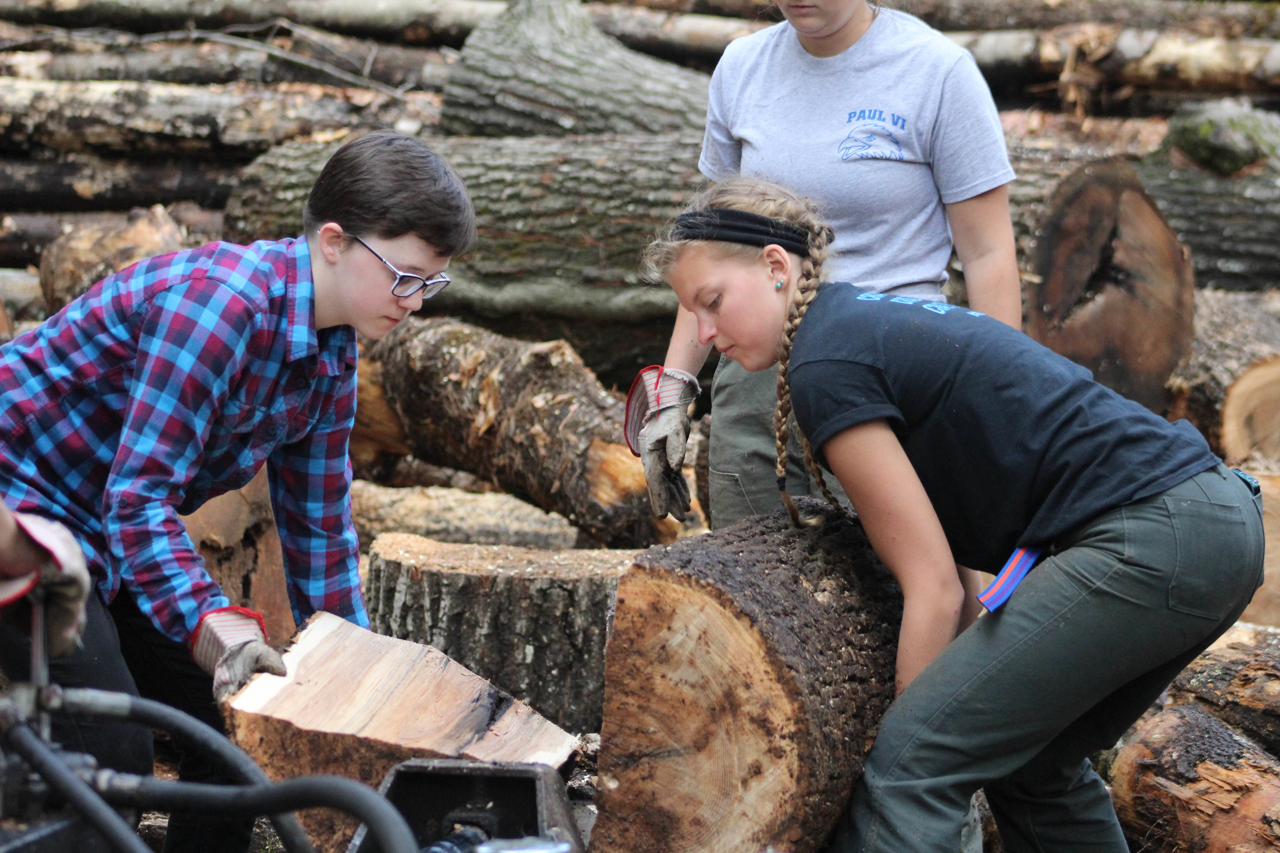 Proctor Academy Woodlands Woods Team Activity