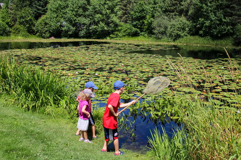 Proctor Academy campus