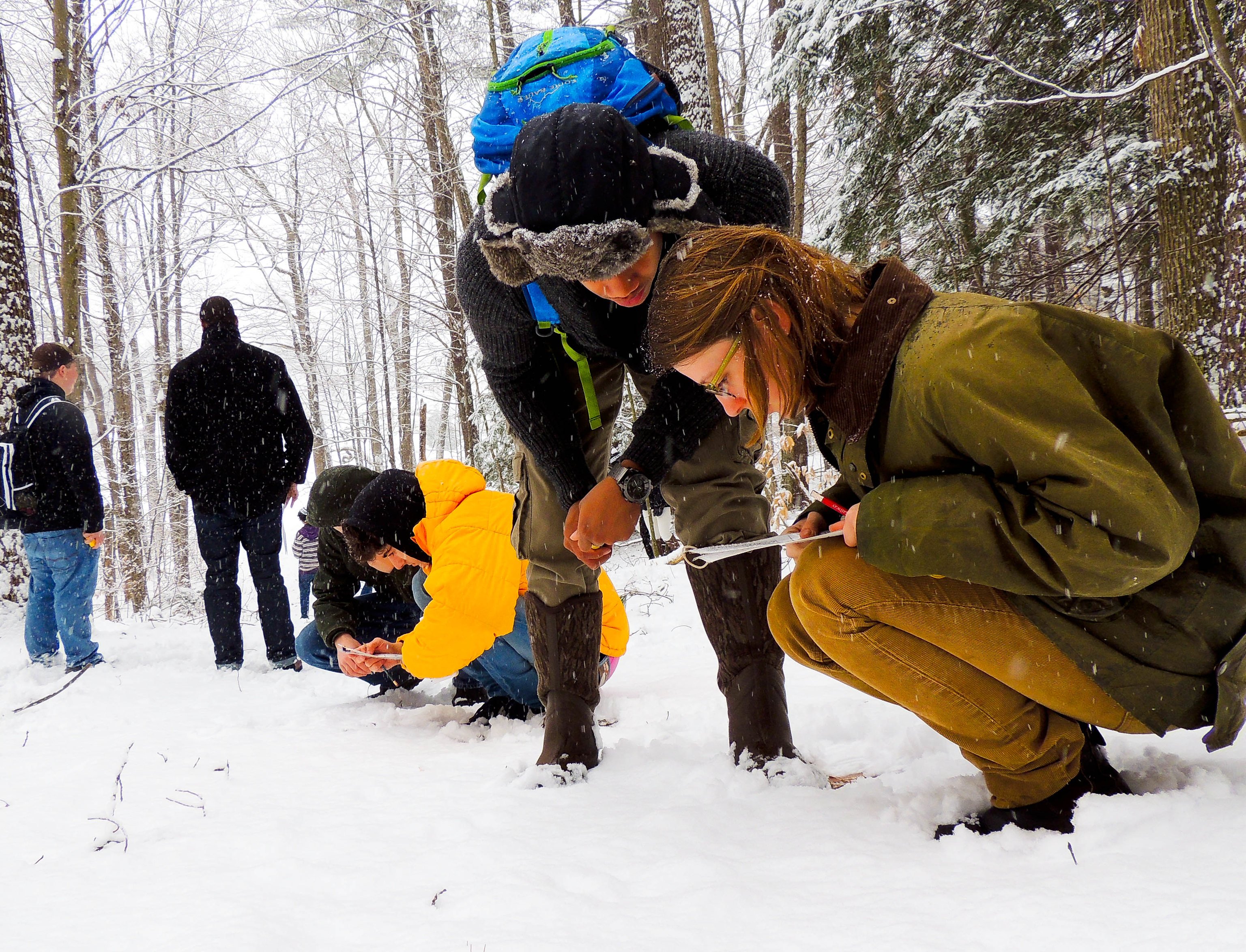 Proctor Academy Outdoor Classroom Boarding School New England